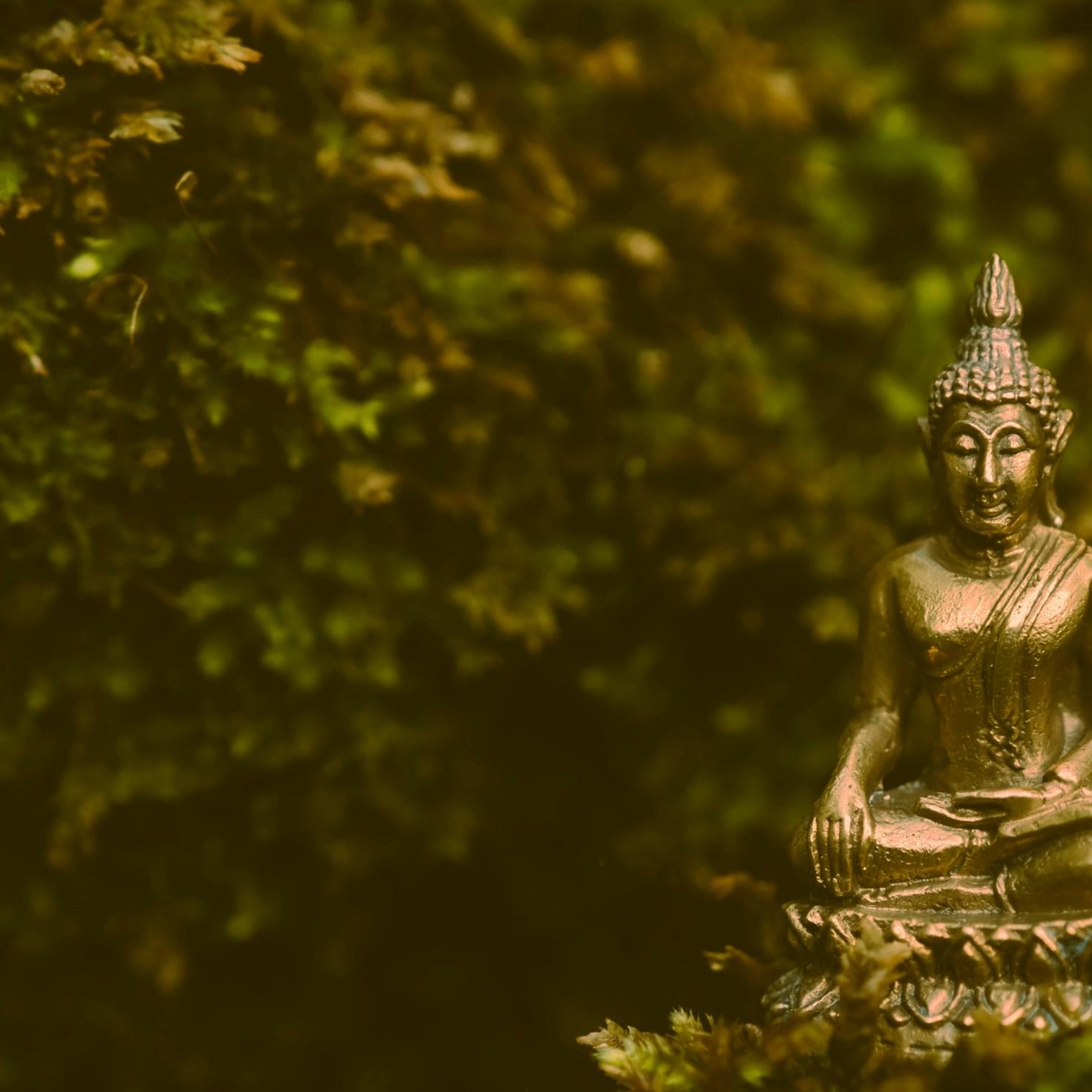 Meditation practice space with cushions arranged in circle